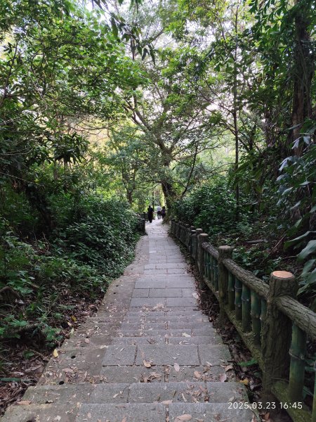 【臺北大縱走 5】碧山巖→忠勇山越嶺步道→金龍產業道路→圓明寺步道→鄭成功廟步道→文間山→劍潭山步道2744911