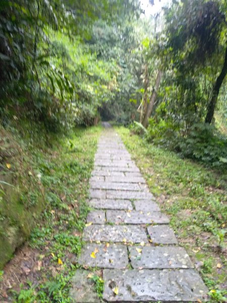 獅山古道一雨中同行1597614