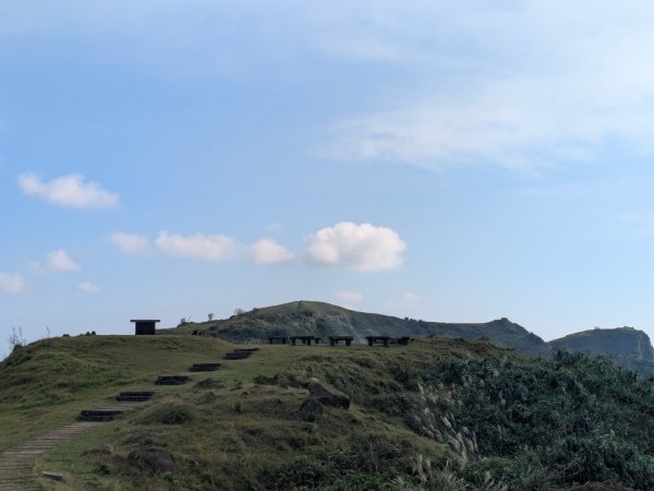 20251108桃源谷到草嶺古道大里天公廟2931453