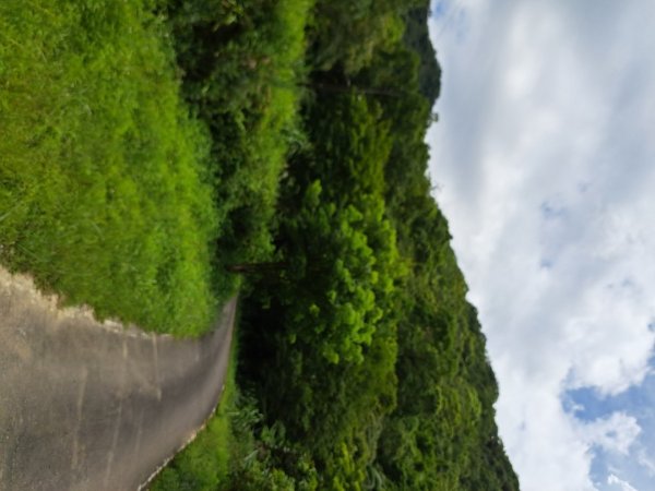 淡蘭中路第四段：威惠廟到灣潭古道登山口3104476