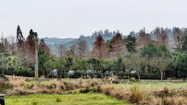 楊梅保甲古道,福人登山步道2695946
