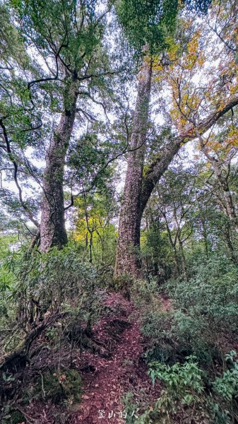 億年橋上志佳陽2960148