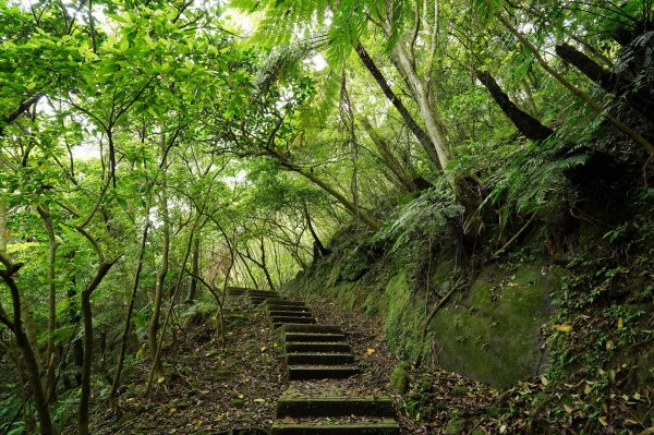 新北 石碇 皇帝殿西峰、串空湖山2479158