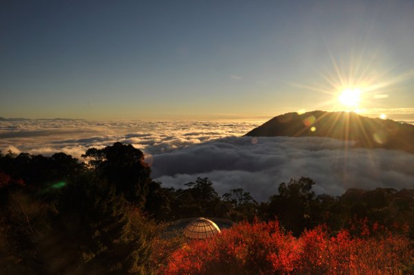 【新聞】慶重陽 65歲以上銀髮族 饗好康! 八仙山、大雪山、合歡山、武陵 用餐最低至65折～