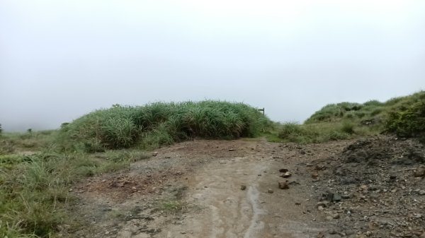 瑞芳區金瓜石地質公園-大粗坑古道(大粗坑山+小金瓜露頭)-樹梅坪-百二崁古道-金瓜石地質公園步道O型3055289