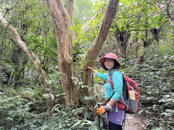 女仍山+帽子山O繞 202602273009561