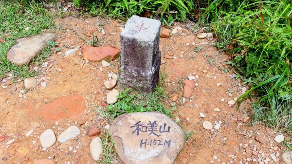 微笑山線和美山螢火蟲段2845902