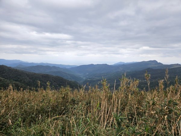 20241229貢寮到大溪(長潭山-西山-丁蘭山-三方向山-鹿窟尾山-睏牛山)2678871