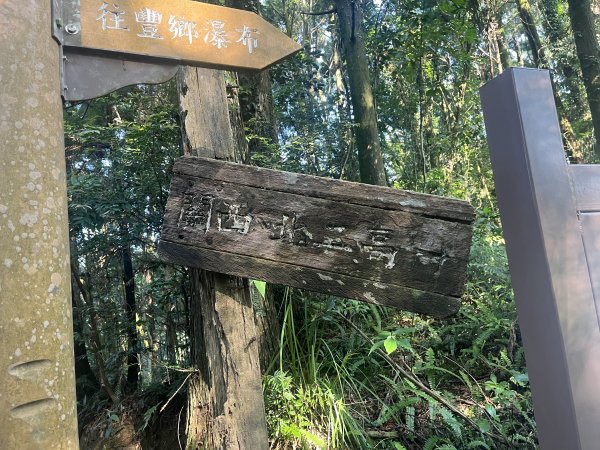 [皮皮獅Hike客任務-06/10] 2024_0831 騎龍古道2585881