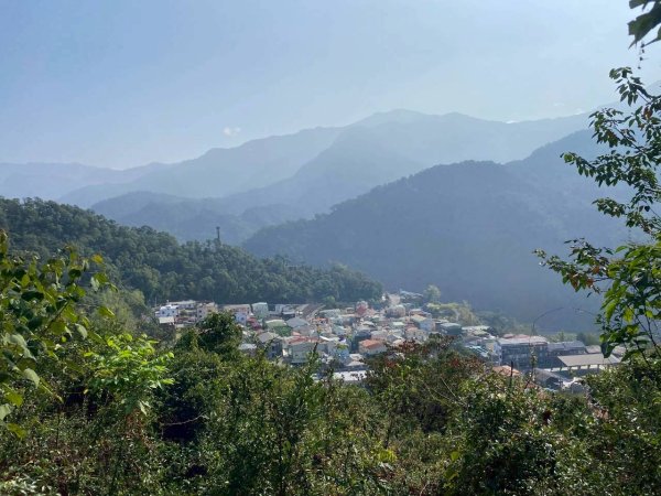 🌈3/7（六）茂林紫斑蝶×龍頭山小長城×多納部落✨FB：熊熊趴爬走🌈3011521