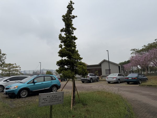 [山海圳_內海之路_第二段] 2026_0228 臺灣歷史博物館_茄拔天后宮3009270