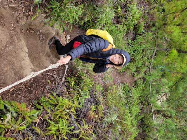 大砲岩-石壇山-八頭山-湯守岩-丹鳳山-202412222859778