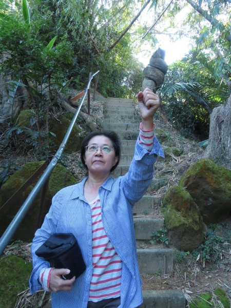 豐原三崁頂健康步道3上2下O形2696147