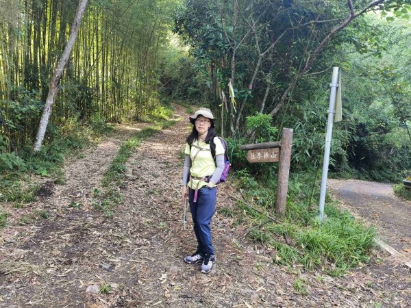 大混李棟山2816322