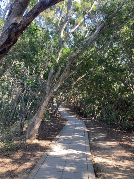 大肚萬里長城步道2973916