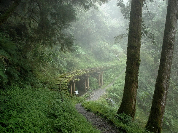 太平山國家森林遊樂區推薦步道