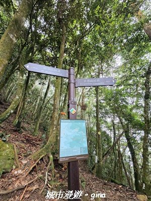 【台中和平】橫嶺山自然步道_木馬古道3095023