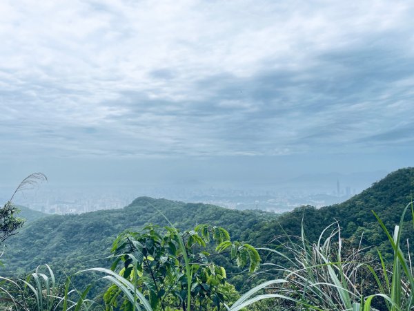 20250413 銀河洞越嶺步道-六分山-待老坑山-員潭子坑山2761203