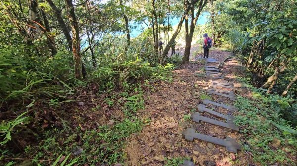 小格頭獅頭山.鱷魚島.八卦茶園3089963