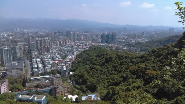 【臺北大縱走6】象山南港山縱走九五峰虎山942821
