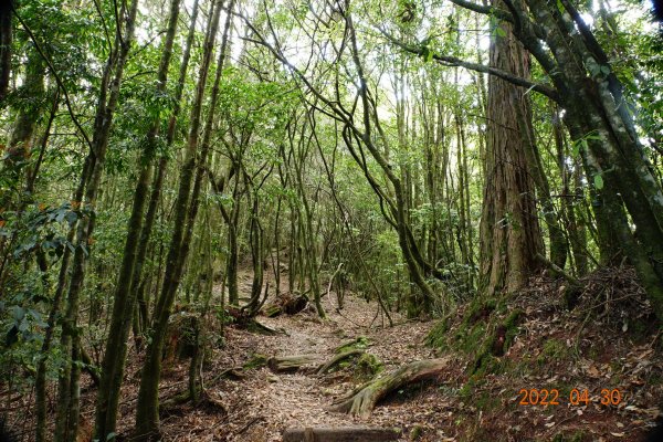 臺中 和平 鞍馬山1697270