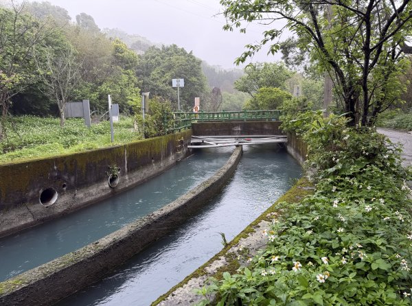 [樟之細路_第一大段RSA05] 2026_0329 石門大圳3027175
