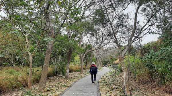 《台中》桃李爭妍｜竹坑南寮步道上竹坑山接瑞井步道O繞202502092710058