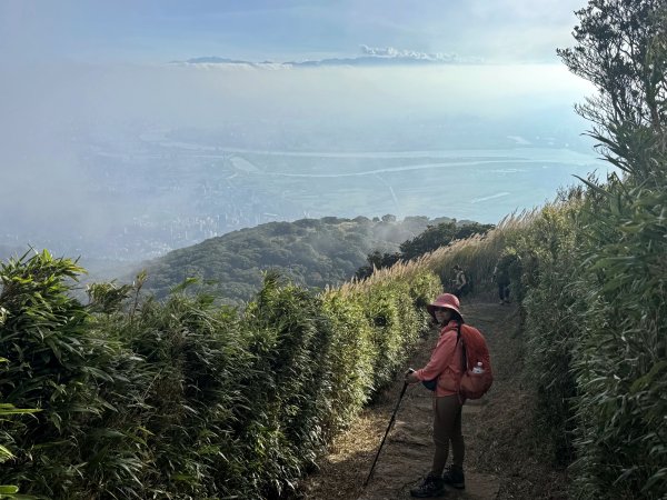 二子坪步道 經遊憩區 上面天山 202511082935057