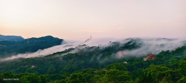 石碇趴趴走追雲趣 #二格山 #雲瀑 #藍腹鷴母鳥 #雲海流瀑 #霧虹 5/172788212