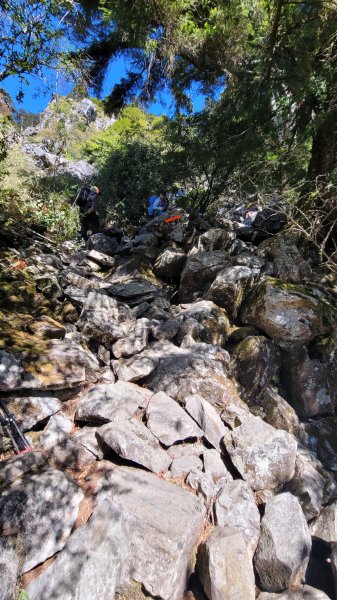 玉山前峰2402068