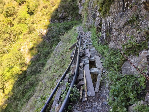 [玉山尋寶任務-07/12] 2025_0824 八通關雲龍瀑布步道2870592