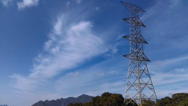 【臺北大縱走1】八爪魚般的樹根步道忠義山800867