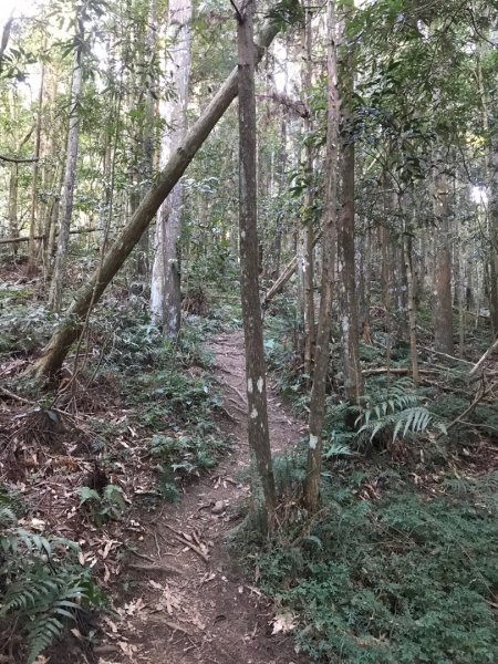 南庄賽夏族部落名山490194