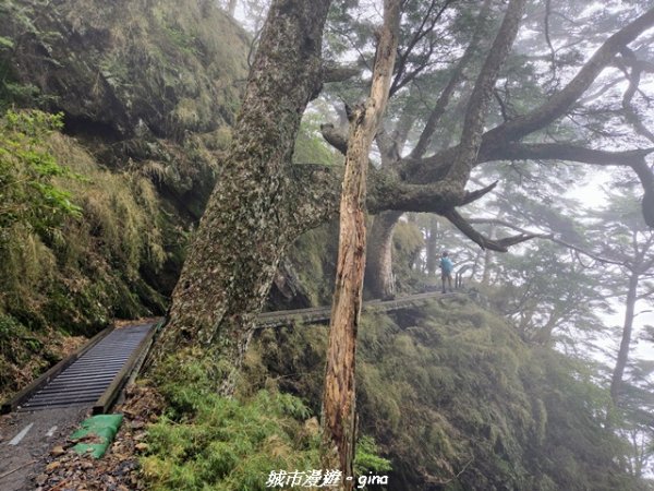 【南投信義】排雲山莊 x#15百岳_玉山西峰3111633