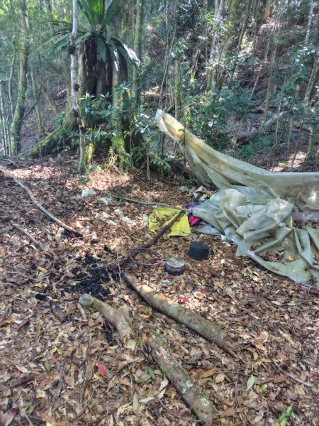 南東眼山連走有勝山2918740