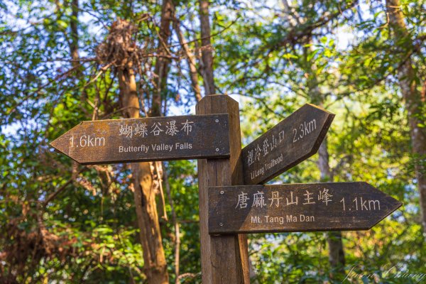 谷關七雄_唐麻丹山3015616