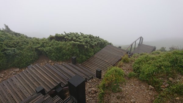 拾階而上合歡東峰1098902