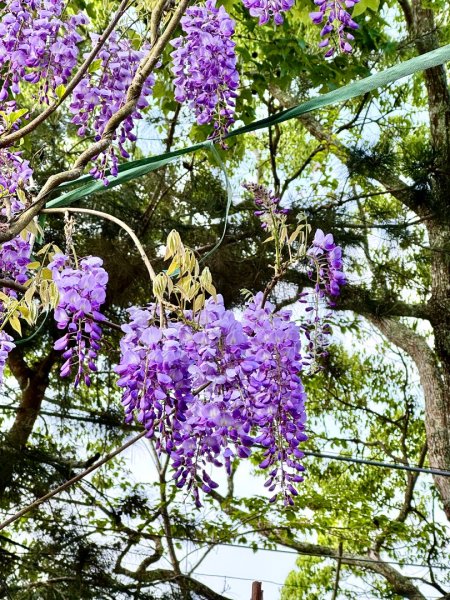 巴蜈縱走2749265