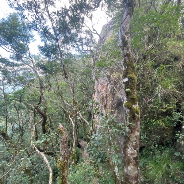 20251013_都蘭山（台東小百岳）2941330