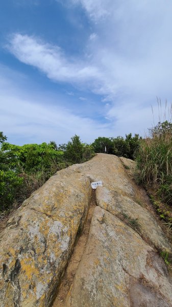 新竹關西-馬武督探索森林、外鳥嘴山1415939