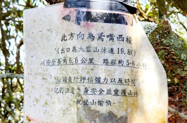 【中級山縱走】最美中級山，鳶嘴西稜縱走（鳶嘴山，醜崠山，長壽山）2741383