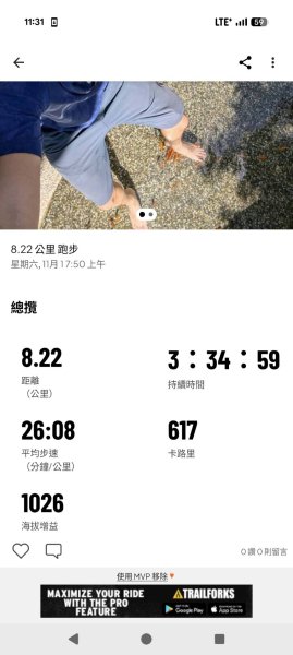波津加山步道3014122