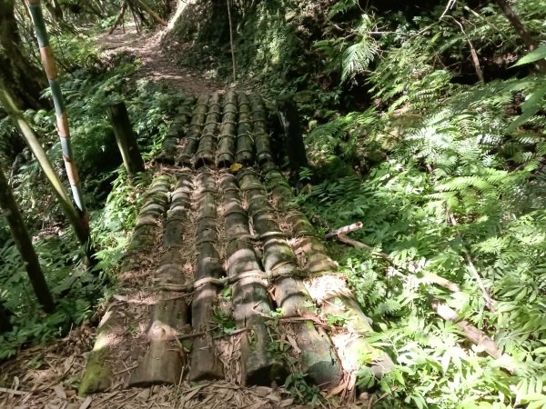 雙溪區北勢溪古道+畚箕湖古道+三層巷古道+北勢溪古道P字走2909474