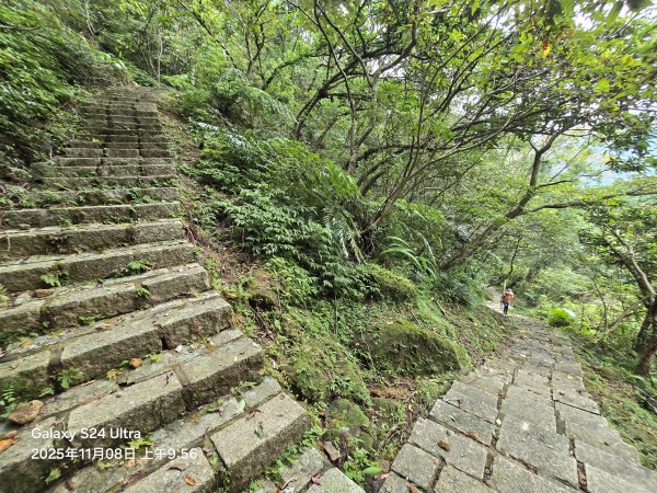 2025-11-08微笑山線：【五分山系】菁桐煤礦段2932715