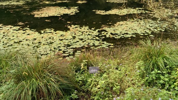 福山植物園964646