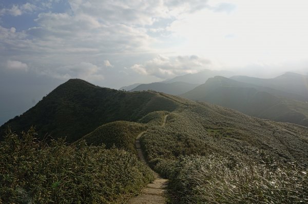 灣坑頭山 桃源谷步道 連走2034858