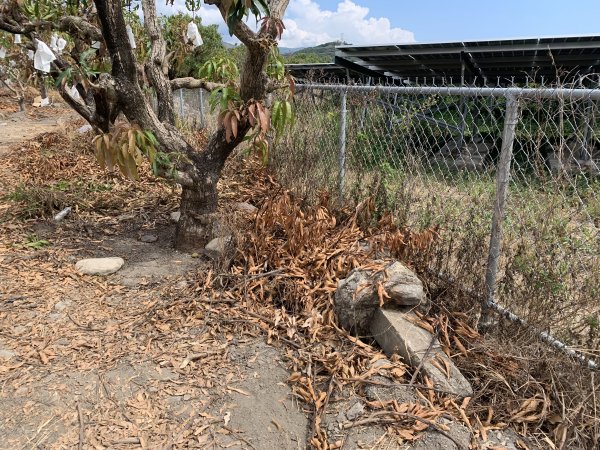 20250503屏東基石-大餉營庄東北2781527