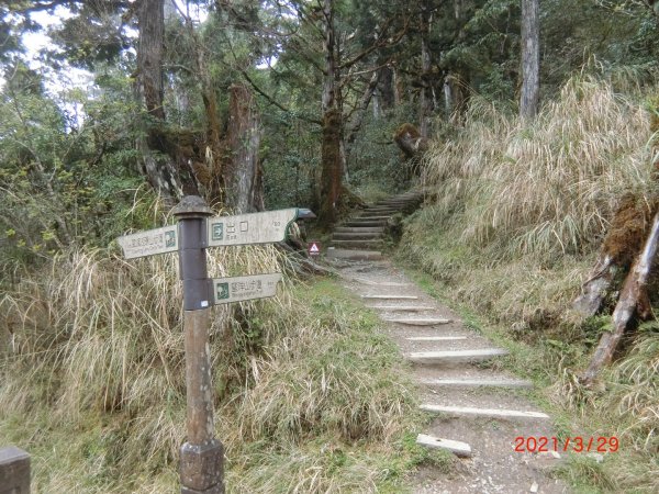翠峰湖環山步道1558061