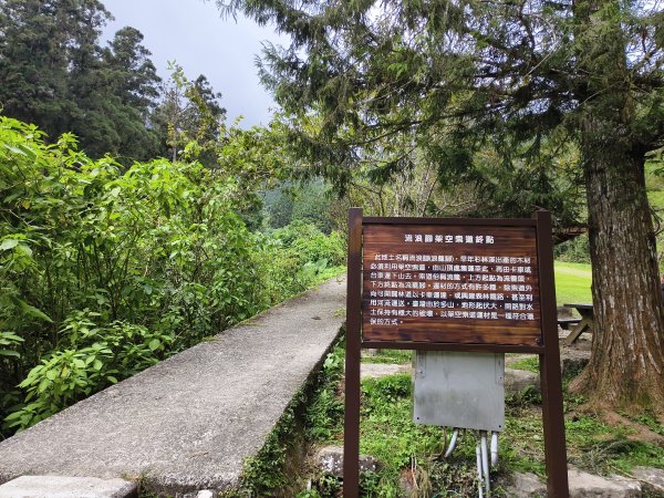 [百山百鳥尋旅-05/15] 2025_0830 溪頭賞鳥步道_觀景步道2875592