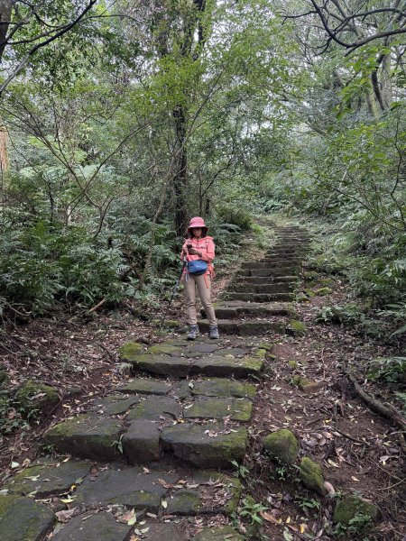 二子坪步道 經遊憩區 上面天山 202511082935041